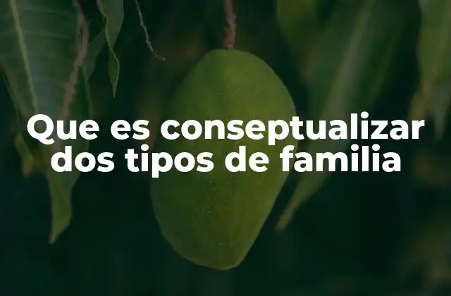 Que es Conseptualizar Dos Tipos de Familia