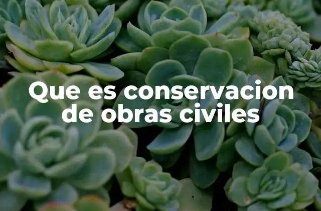 Que es Conservacion de Obras Civiles