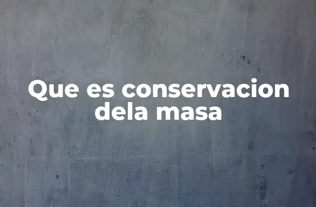 Que es Conservacion Dela Masa