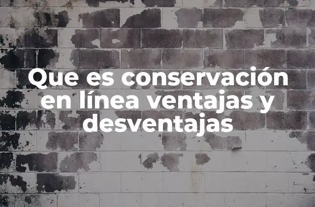 Que es Conservación en Línea Ventajas y Desventajas 2 La importancia de la preservación digital en el contexto moderno