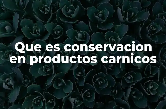 Que es Conservacion en Productos Carnicos