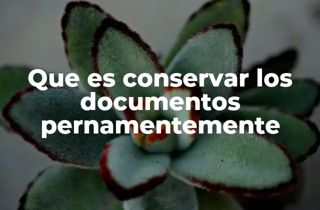 Que es Conservar los Documentos Pernamentemente