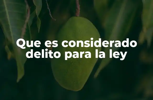 Cómo se establece lo que constituye un delito