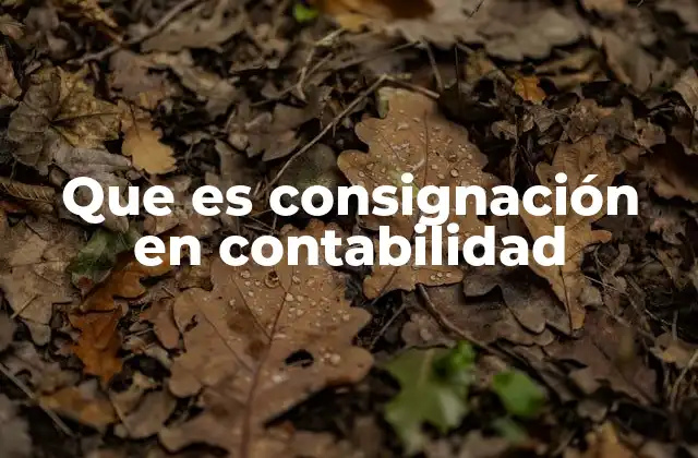 Que es Consignación en Contabilidad