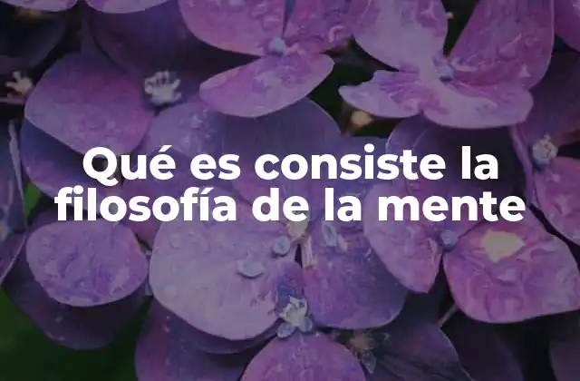 El enfoque filosófico en la conciencia y la experiencia subjetiva