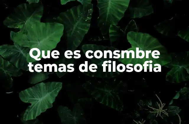 Que es Consmbre Temas de Filosofia