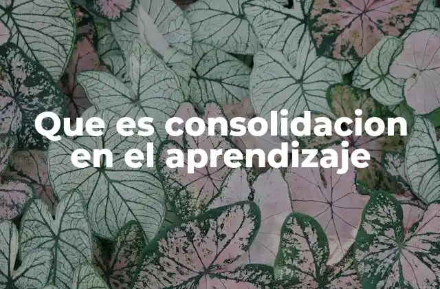 Que es Consolidacion en el Aprendizaje