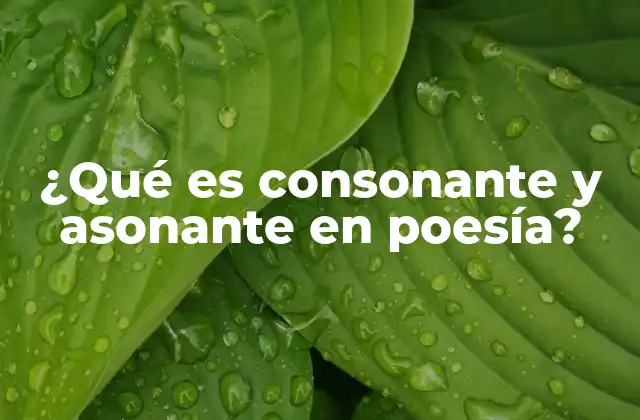 ¿qué es Consonante y Asonante en Poesía?