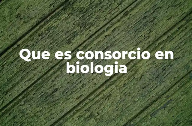 Que es Consorcio en Biologia 2 El papel de los consorcios en los ecosistemas
