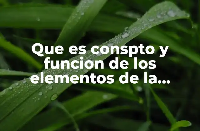 Que es Conspto y Funcion de los Elementos de la Redaccion