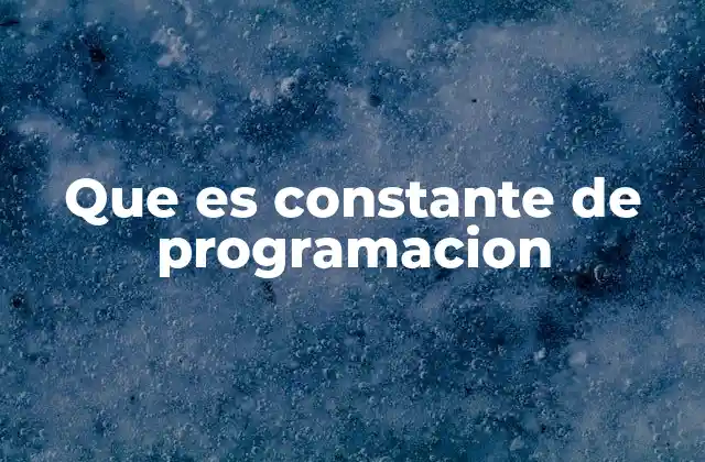 Que es Constante de Programacion