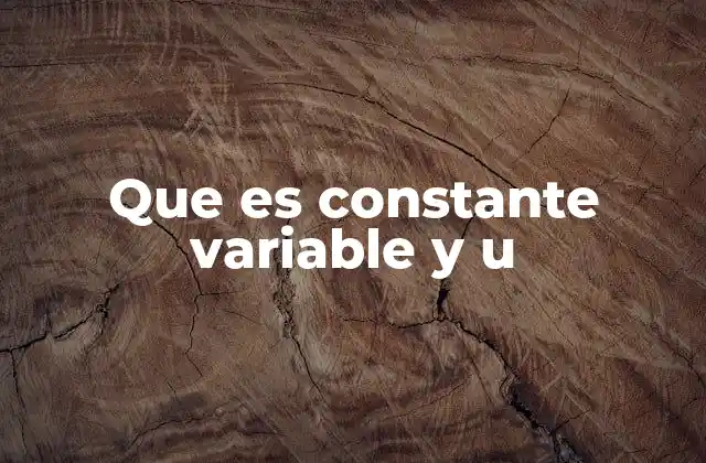 Que es Constante Variable y u