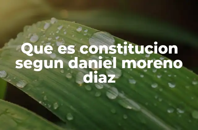 Que es Constitucion Segun Daniel Moreno Diaz