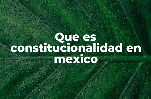 Que es Constitucionalidad en Mexico