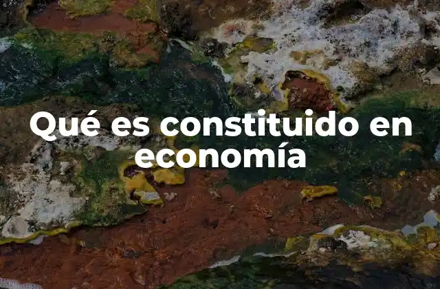 Qué es Constituido en Economía