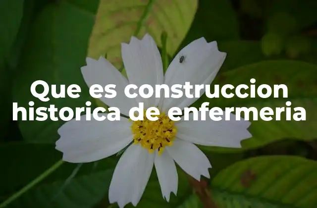 Que es Construccion Historica de Enfermeria