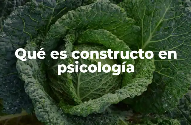 Qué es Constructo en Psicología