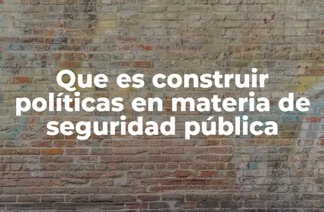 Que es Construir Políticas en Materia de Seguridad Pública