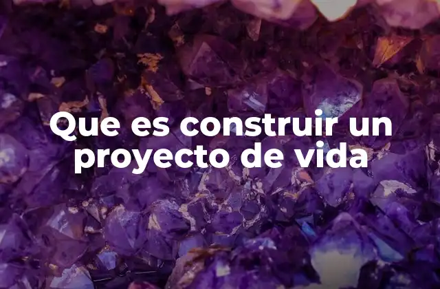 Que es Construir un Proyecto de Vida 2 El viaje hacia una vida plena y significativa
