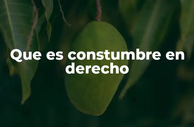 Que es Constumbre en Derecho