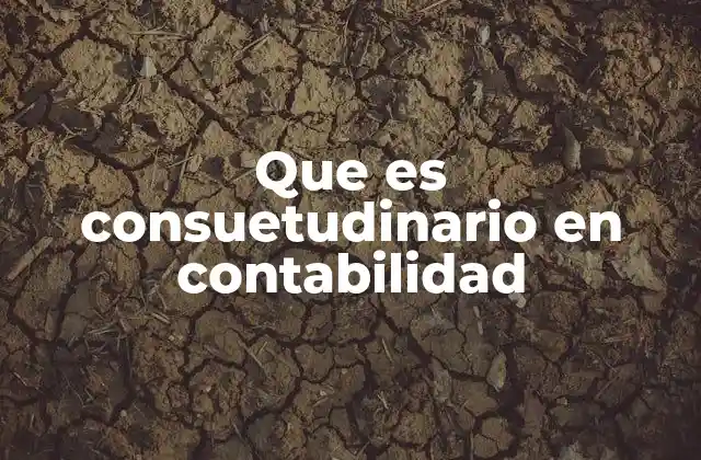 Que es Consuetudinario en Contabilidad