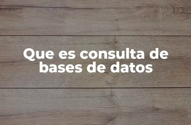 Que es Consulta de Bases de Datos