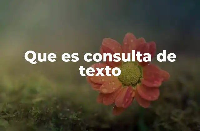 Que es Consulta de Texto