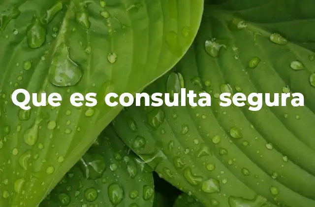 Que es Consulta Segura