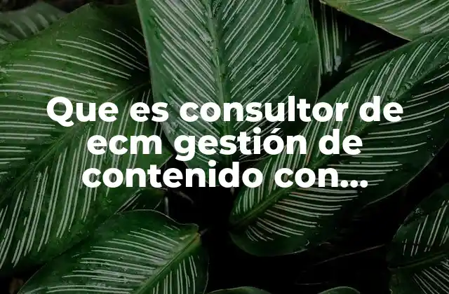 Que es Consultor de Ecm Gestión de Contenido con Opentext