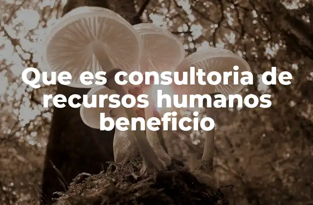 Que es Consultoria de Recursos Humanos Beneficio