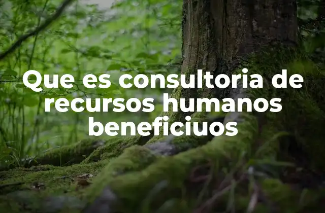Que es Consultoria de Recursos Humanos Beneficiuos