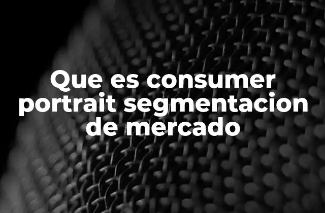 Que es Consumer Portrait Segmentacion de Mercado