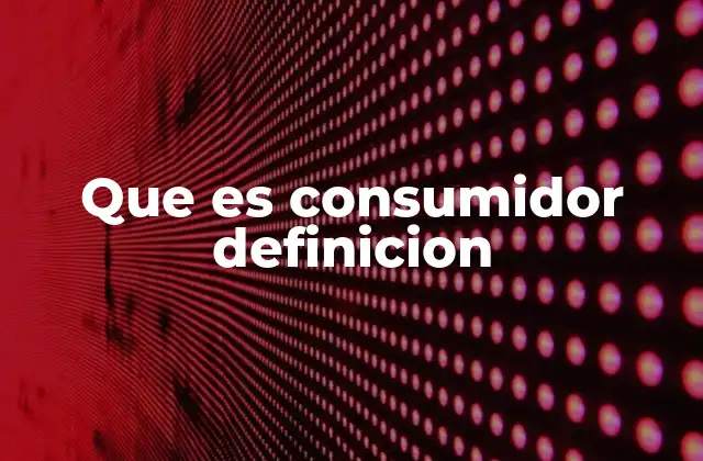 Que es Consumidor Definicion
