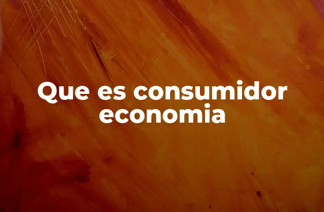Que es Consumidor Economia