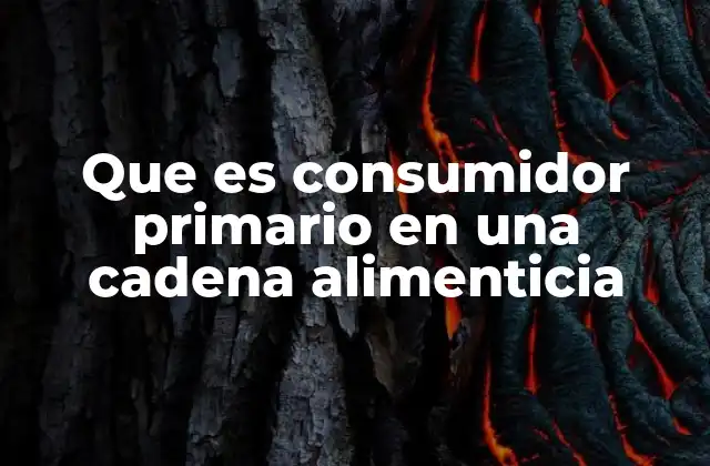 Que es Consumidor Primario en una Cadena Alimenticia