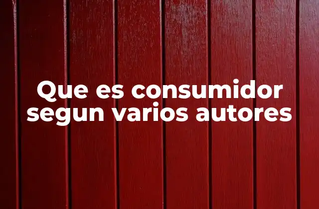 Que es Consumidor Segun Varios Autores