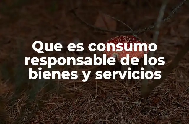 Que es Consumo Responsable de los Bienes y Servicios