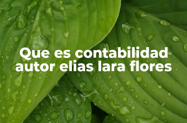 Que es Contabilidad Autor Elias Lara Flores