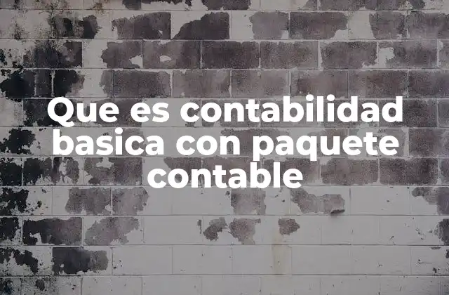 Que es Contabilidad Basica con Paquete Contable