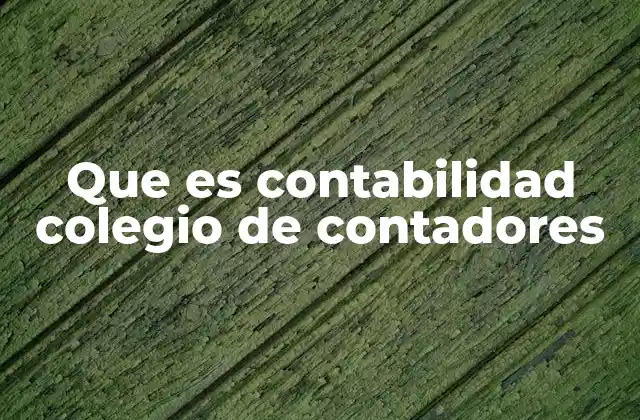 Que es Contabilidad Colegio de Contadores 2 El papel del Colegio de Contadores en la formación y regulación profesional