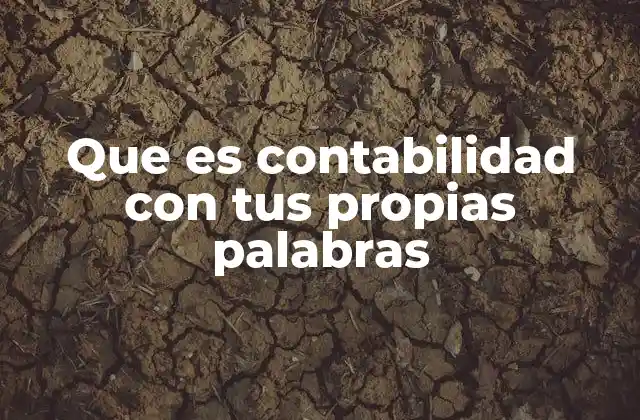 Que es Contabilidad con Tus Propias Palabras