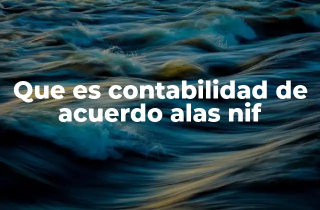 Que es Contabilidad de Acuerdo Alas Nif