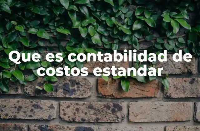 Que es Contabilidad de Costos Estandar