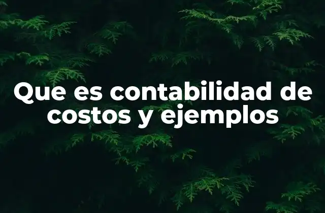 Que es Contabilidad de Costos y Ejemplos