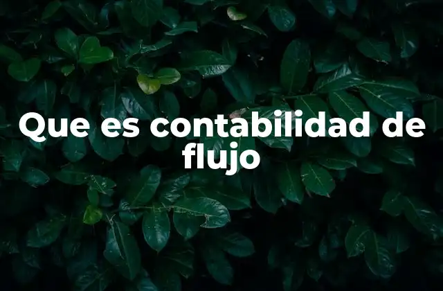 Que es Contabilidad de Flujo