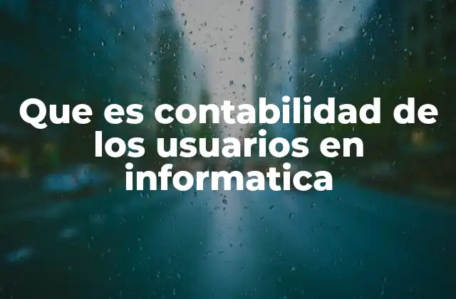 Que es Contabilidad de los Usuarios en Informatica