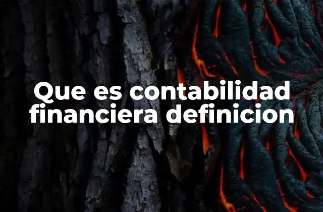Que es Contabilidad Financiera Definicion