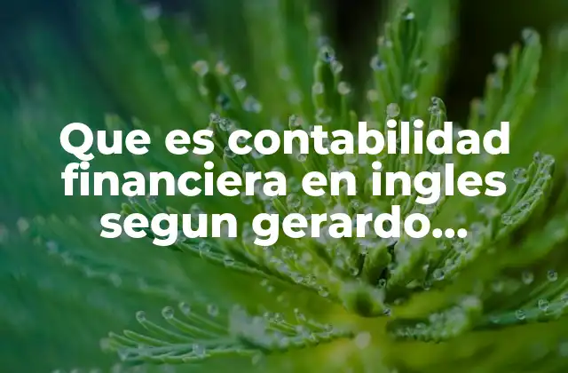 Que es Contabilidad Financiera en Ingles Segun Gerardo Guajardo
