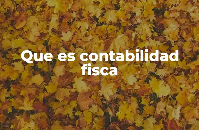 Que es Contabilidad Fisca
