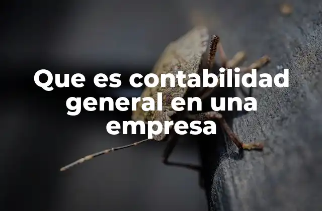 Que es Contabilidad General en una Empresa